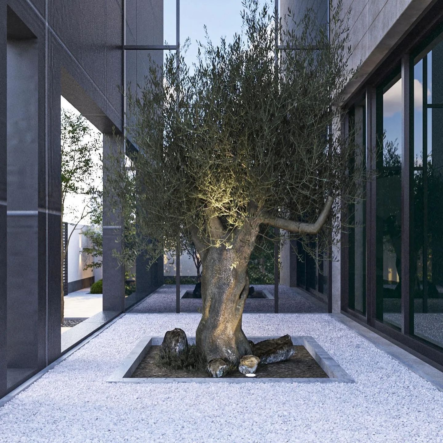 تنسيق حدائق (44)